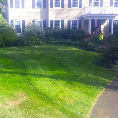 LANDSCAPING SERVICES